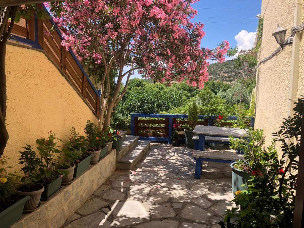 Ena-lia Apartment Skala Marion